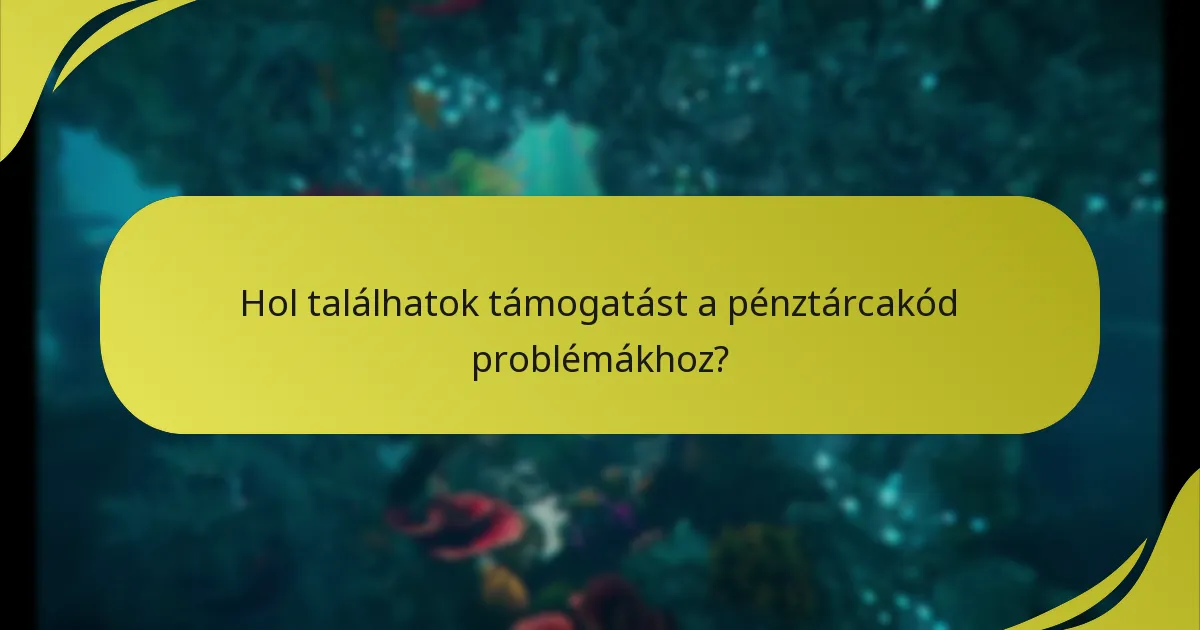 Hol találhatok támogatást a pénztárcakód problémákhoz?
